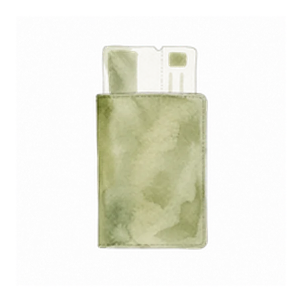 Aquarela de um passaporte