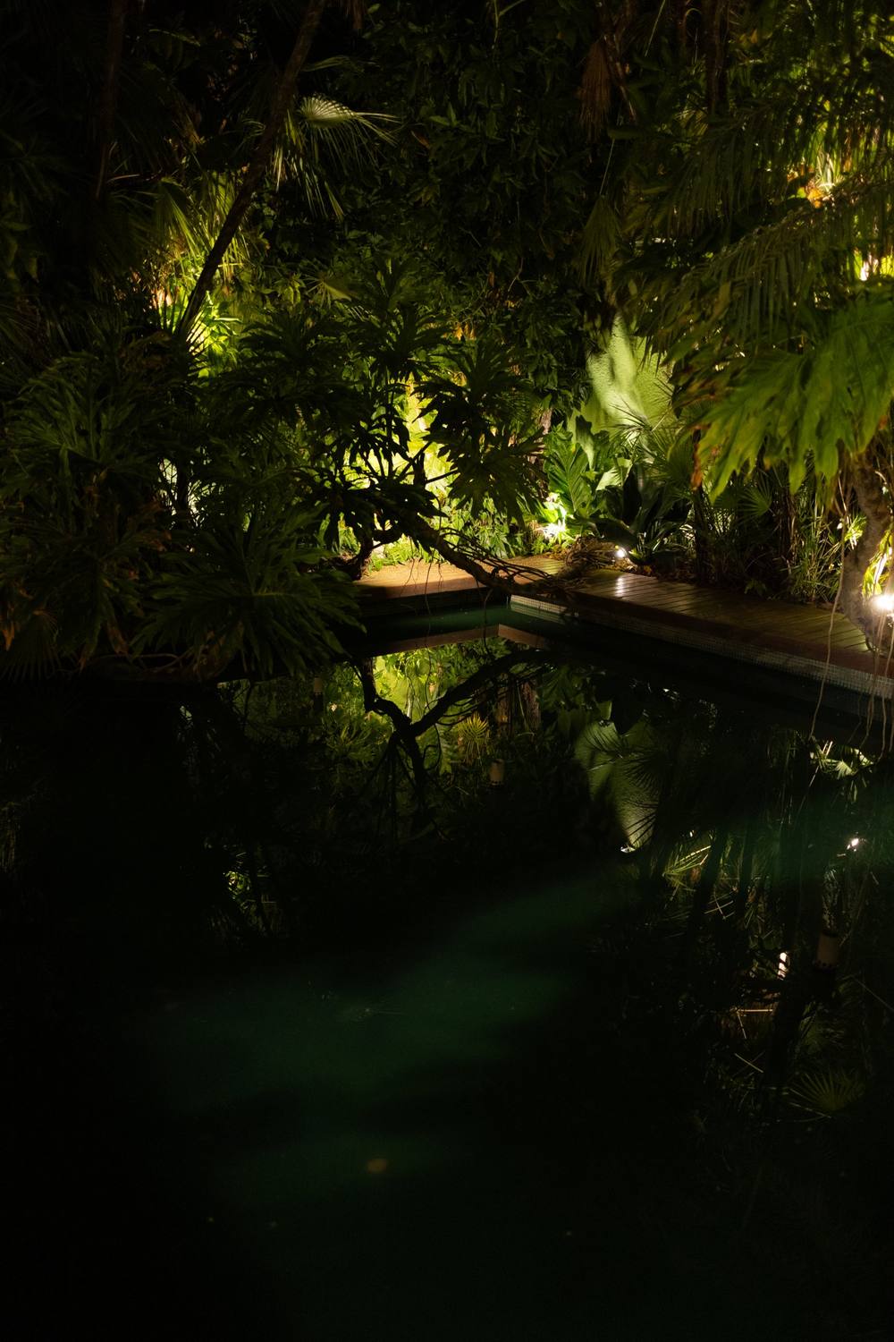 O jardim e a piscina à noite