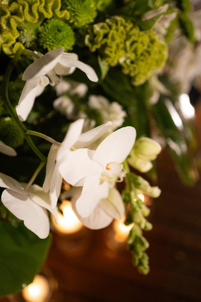 Orquídeas brancas à luz de velas